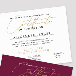 Simple Black White Gold Certificate Award Diploma Poster