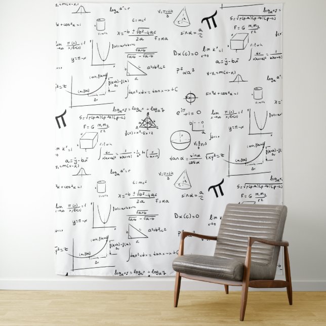 Simple Black White Mathematic Formulas Equations Tapestry (In Situ)
