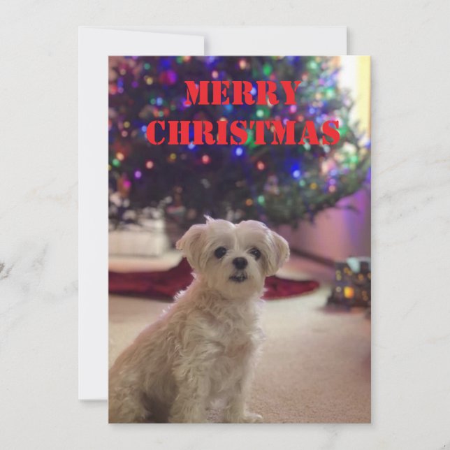 Simple Bold Christmas Card (Front)