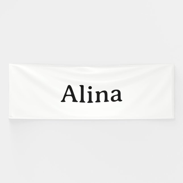 Simple Brand Promotion 4' x 12' Indoor Banner (Horizontal)