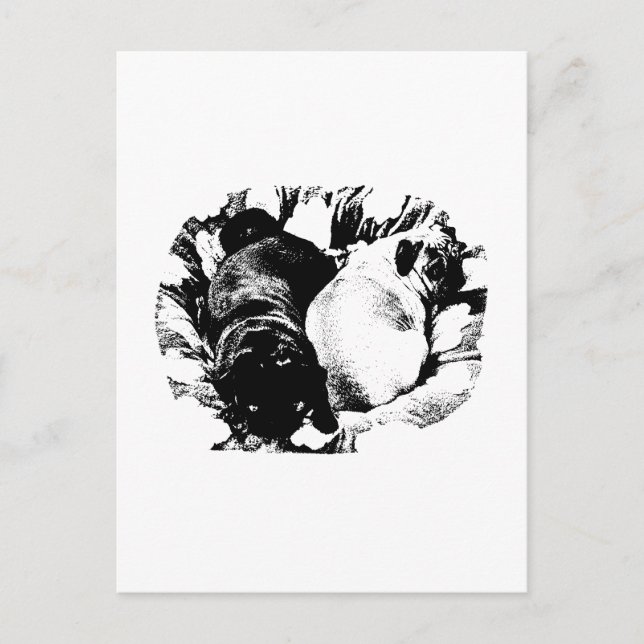 Simple Calm, Gentle Lines Postcard (Front)