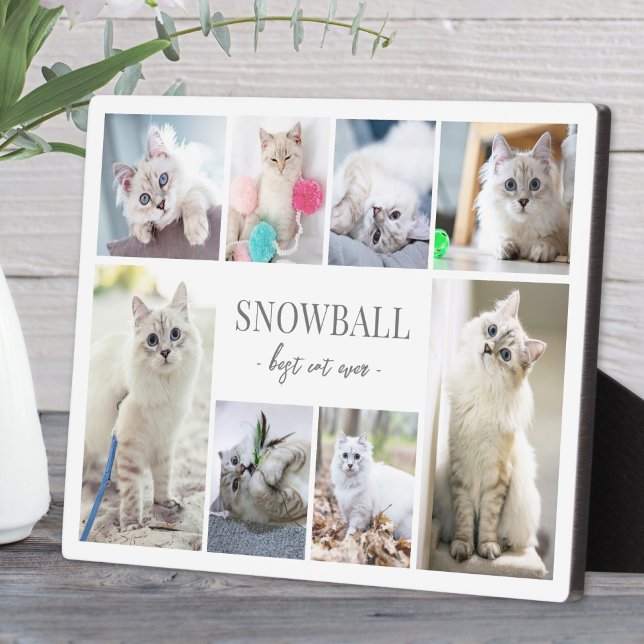 Simple Cat Pet Photo Collage Plaque (Simple Cat Pet Photo Collage plaque )