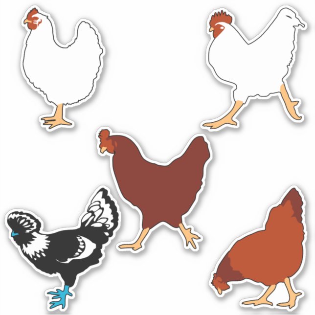 Simple Chicken Silhouettes Stickers (Front)