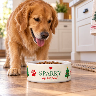 Simple Christmas Custom Name Pet Bowl