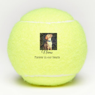 Simple colorful animal add name photo custom throw tennis balls
