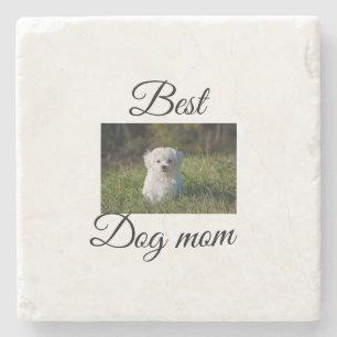 Simple colorful animal add name photo dog mom gift stone coaster