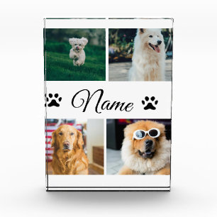 Simple colourful animal add name photo collage block