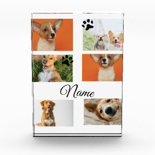 Simple colourful animal add name photo collage block
