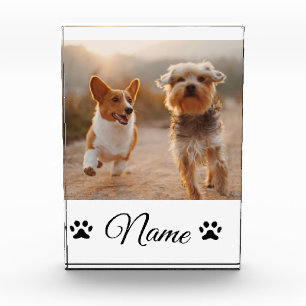 Simple colourful animal add name photo collage block