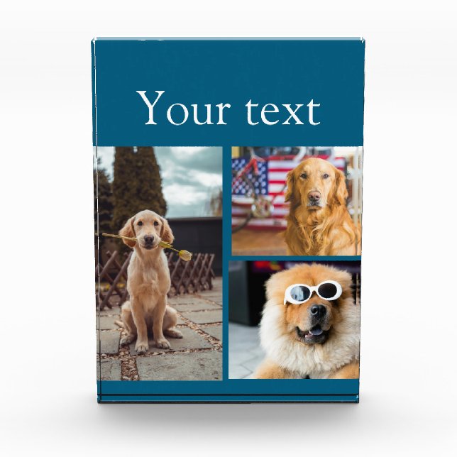 Simple colourful animal add name photo collage block (Front)