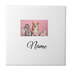 Simple colourful animal add name photo custom ceramic tile