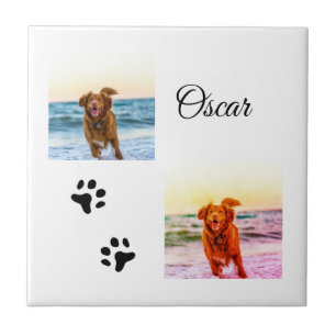 Simple colourful animal add name photo custom ceramic tile