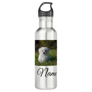 Simple colourful animal add name photo custom thro 710 ml water bottle