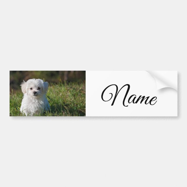 Simple colourful animal add name photo custom thro bumper sticker (Front)