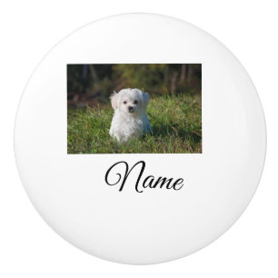 Simple colourful animal add name photo custom thro ceramic knob