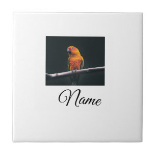 Simple colourful animal add name photo custom thro ceramic tile