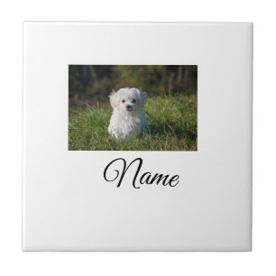 Simple colourful animal add name photo custom thro ceramic tile