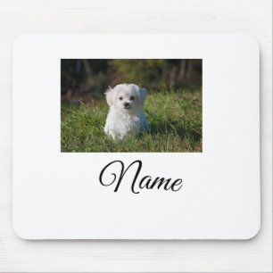 Simple colourful animal add name photo custom thro mouse pad