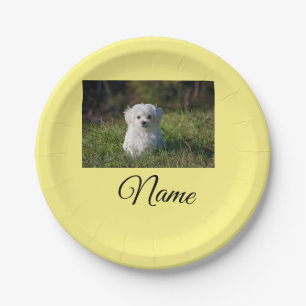 Simple colourful animal add name photo custom thro paper plate