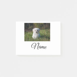 Simple colourful animal add name photo custom thro post-it notes