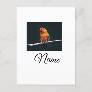 Simple colourful animal add name photo custom thro postcard