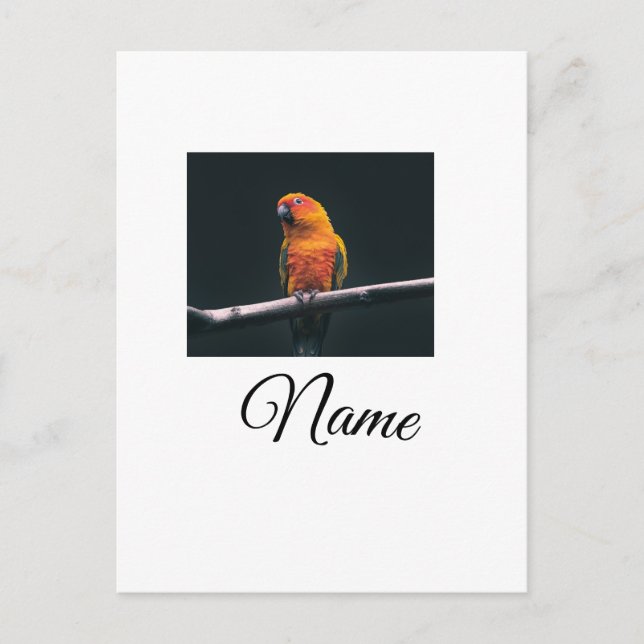 Simple colourful animal add name photo custom thro postcard (Front)