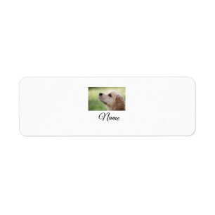 Simple colourful animal add name photo custom thro return address label
