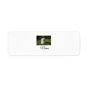 Simple colourful animal add name photo custom thro return address label