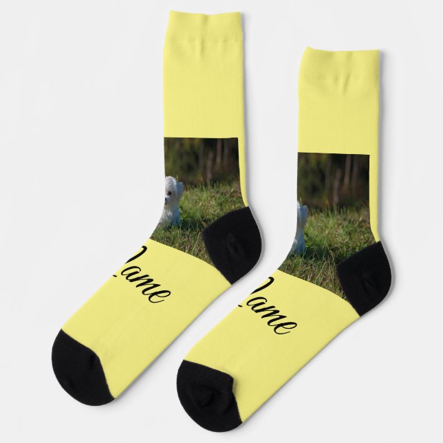 Simple colourful animal add name photo custom thro socks (Left)