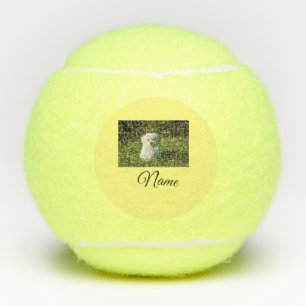 Simple colourful animal add name photo custom thro tennis balls