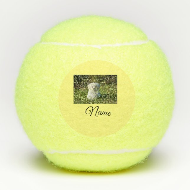 Simple colourful animal add name photo custom thro tennis balls (Front)