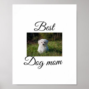 Simple colourful animal add name photo dog mum gif poster