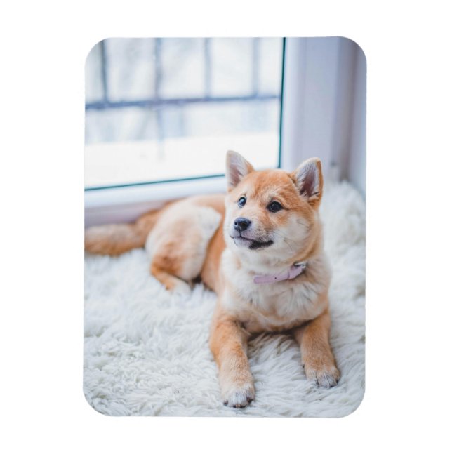 Simple Custom Pet Photo Magnet (Vertical)