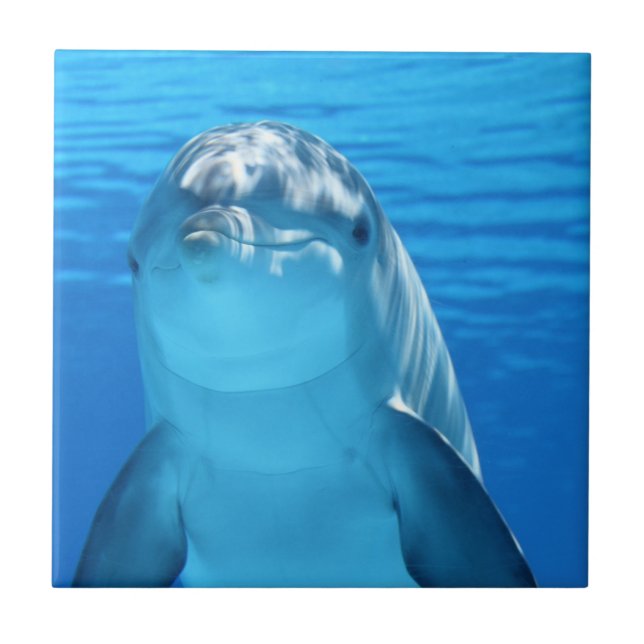 Simple Custom Photo  Ceramic Tile (Front)