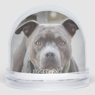 Simple Custom Pit Bull Dog Photo Snowglobe