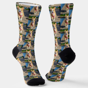 Simple Cute Pet Dog Photo  Socks