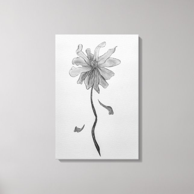 Simple Daisy Canvas Print (Front)