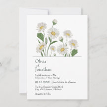 Simple Daisy Wild Garden