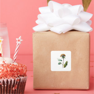 Simple Dandelion Floral Wedding Favour Sticker