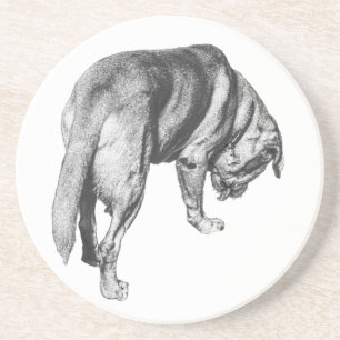 Simple Discoveries Coaster