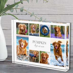 Simple Dog Pet Photo Collage