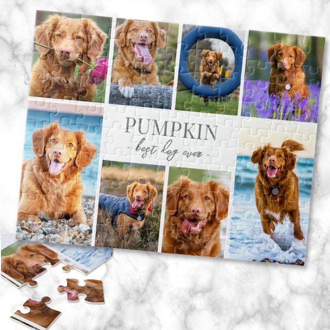 Simple Dog Pet Photo Collage Jigsaw Puzzle (Simple Dog Pet Photo Collage jigsaw puzzle)