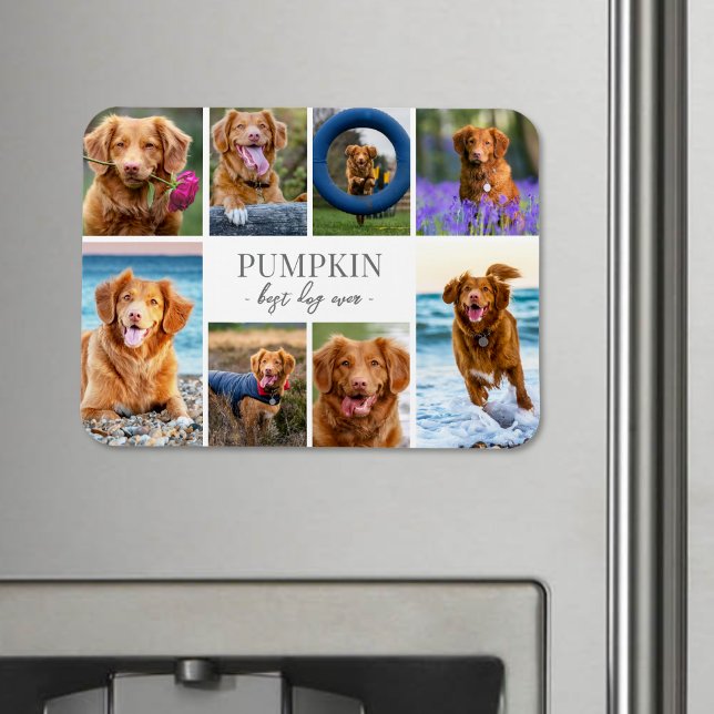 Simple Dog Pet Photo Collage Magnet (Simple Dog Pet Photo Collage jigsaw puzzle)