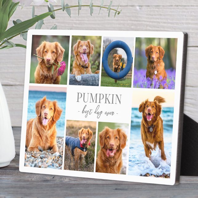 Simple Dog Pet Photo Collage Plaque (Simple Dog Pet Photo Collage plaque)