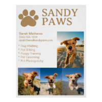 Simple Dog Walking Pet Sitter Pet Photography