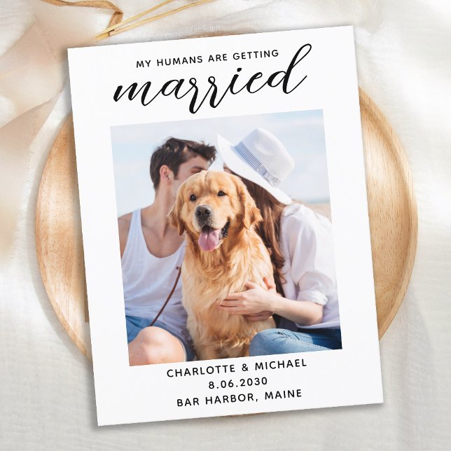 Simple Dog Wedding Photo Save The Date Announcement Postcard (Creator Uploaded)