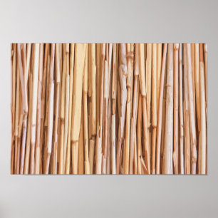Simple Dried Bamboo Artwork Poster