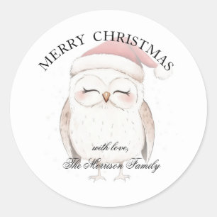Simple Elegant Christmas Watercolor Gift Wrap Owl Classic Round Sticker