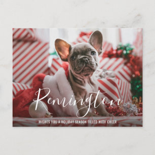Simple Elegant Cute Photo Dog Christmas Holiday Postcard