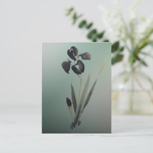 Simple Elegant Modern Ukiyo-e Japanese Iris Postcard